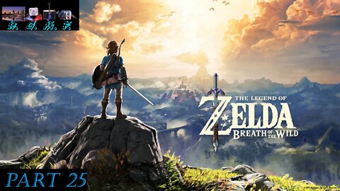 Zelda: Breath of The Wild Playthrough 25