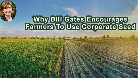 Why Bill Gates Encourages Farmers To Use Corporate Seed And Fertilizers That Go With Them