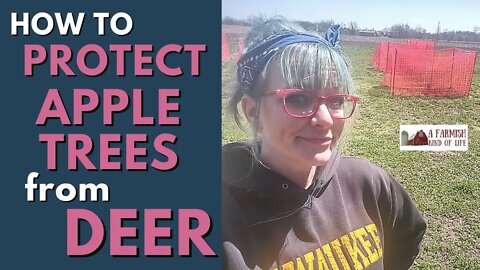 How to Protect Apple Trees from Deer | HUMOR |