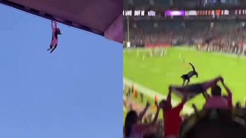 Miami Fans rescued the cat that fell down from roof top during the football match - Heart Touching Moment