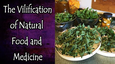 The Vilification of Natural Food and Medicine