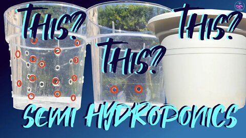 Can Semi hydroponic pots have ventilation holes? Best option for growing orchids in Semi Hydro pots!