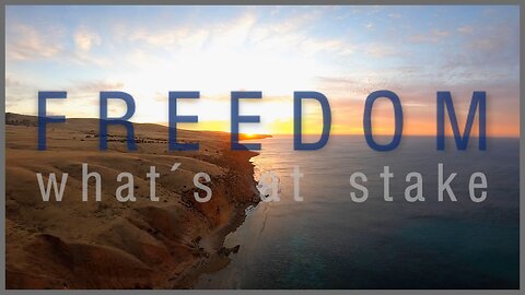 FREEDOM - What's Really at Stake