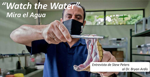 “Watch the Water” (Mira el Agua) - Entrevista de Stew Peters al Dr. Bryan Ardis - 11/04/2022