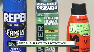 Best bug sprays to protect you
