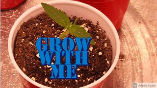 Grow with Me