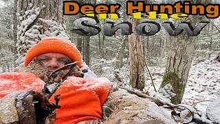 Deer Hunting in the Snow