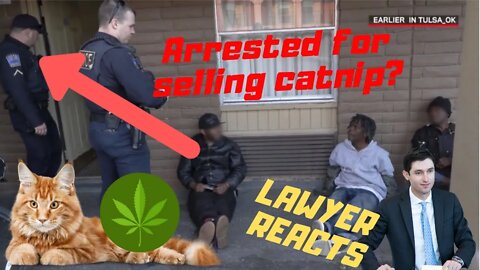 Is trying to pass Catnip as dope illegal? | Lawyer reacts to "Live PD: Smoking Catnip"