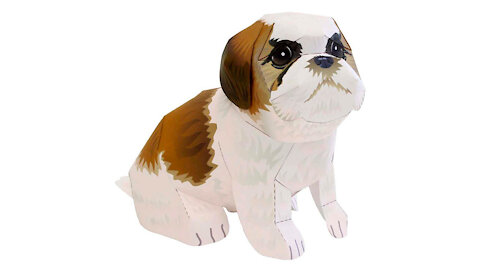 Shih tzu/Perro de papel shih tzu/Cachorro shih tzu de papel