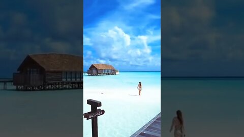 Good morning / COMO Cocoa Island /Maldives / Мальдивы #NatureShortsVideo