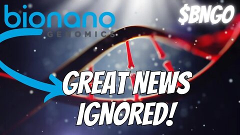 Bngo Stock I Think This Is Great News