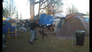 The Encampment