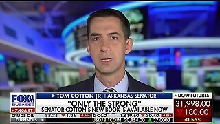 Voters will serve 'resounding verdict' against Democrats' 'ideological agenda': Sen. Tom Cotton