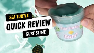 100% Honest Sea Turtle Surf from Razberry Slime Co Quick Review