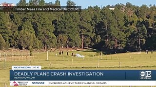 One passenger killed in plane crash near Show Low Lake