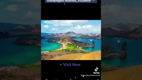 Galápagos Islands, Ecuador 🇪🇨 #shorts #galápagosislands #tourismecuador #ecuador🇪🇨 #tourism