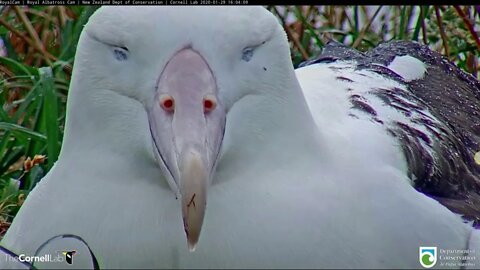 OGK and YRK announce that their precious baby is hatching!1-28-19