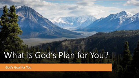 What Is God's Plan for You