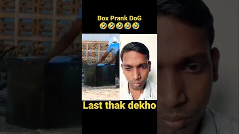 Box prank With Dog🤣