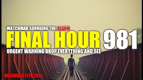 FINAL HOUR 981 - URGENT WARNING DROP EVERYTHING AND SEE - WATCHMAN SOUNDING THE ALARM