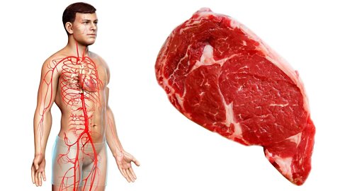 What Eating Too Much Meat Can Do To Your Body