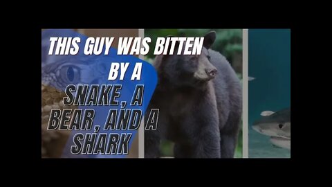 True Stories - This Guy Was Bitten by a Snake, a Bear, and a Shark