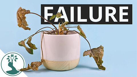 Dealing With Plant Failure
