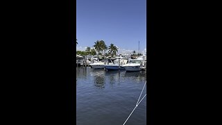 Beautiful day #florida #rumble #boatlife