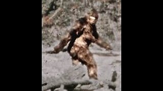 Bigfoot Crosses Road then Disappears in 70's Video