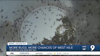 West Nile virus among concerns with increased mosquito population
