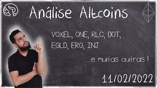 Fechando O Dia - Análise De Altcoins 11/02/2022