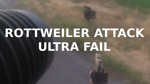 So, you're a bit confused? Here's my reality. Rottweiler attack FAIL.