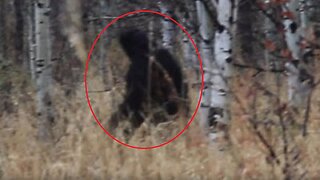 Russian Priest See's Bigfoot in Chimea Mountains