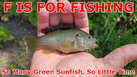 So Many Green Sunfish, So Little Time