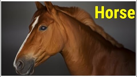 Learn Pets: SOUND (VOICE) Horse
