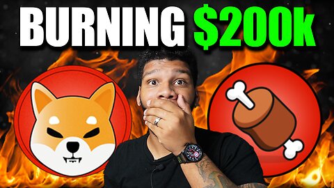 Burning $200k Worth of #SHIB? Ecosystem Devs Now Want To Burn #BONE TOO!!!