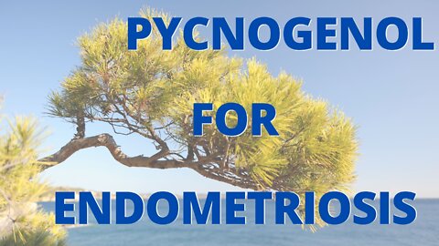 Pycnogenol for Endometriosis & Other Natural Approaches