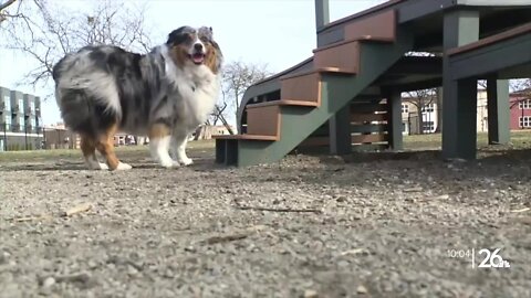 On Broadway, Inc. raising money for new pop-up dog park in Green Bay