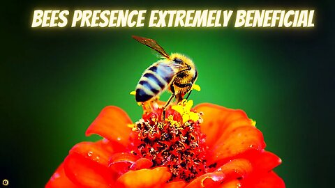 Bees Presence Extremely Beneficial P3#shorts #quotes #motivationalquotes#spirituality