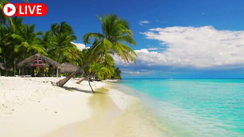 🔴Tropical Paradise With Calm Sea Sounds- Soothing Waves, Nature Sounds, White Noise, Ocean Ambience
