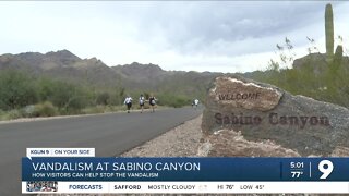 Vandalism at Sabino Canyon Recreation Area