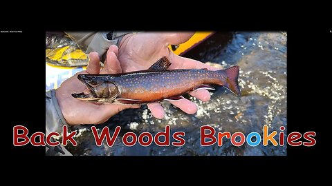 Backcountry - Brook Trout Fishing