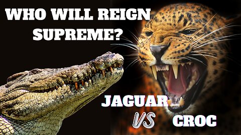 Jaguar vs Crocodile: Clash of the Titans - Who Will Reign Supreme?