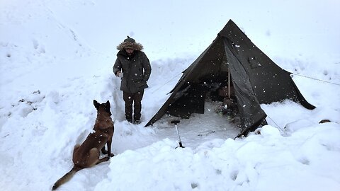 extremely cold winter camping with my dog in deep snow