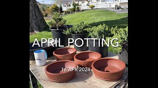 April Potting