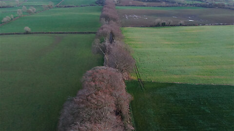 The Dark Hedges