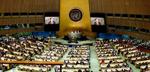 Il ruolo delle Nazioni Unite: illusione o influenza?