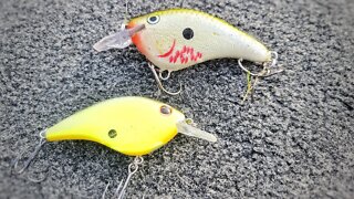 Frittside vs DT Flat (Better Fish Catcher??)