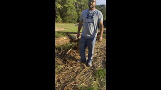 Building a Cedar wood 🪵 Log Cabin