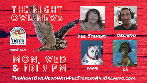 The Night Owl News With Dee Stevens, Orlando, Dame & Ox 'Game Night' - 05/17/2023